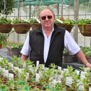 Paul Steveson, who owns Foundry Plant Centre near Tasburgh