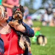 Yorkshire terrier Lucy-Lou, joint first in the prettiest girl category, with owner Lynda Goodace at the Hunstanton Fun Dog Show