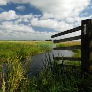 Views across Reedham Marshes in the Norfolk Broads, where the work will be carried out
