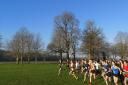 Action from the Norfolk Schools Cross Country Championships held at Langley School. Picture: Tim Malone