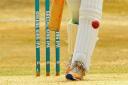 Promotion and relegation issues are becoming clearer in the Norfolk Cricket League Picture: Archant