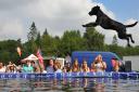 All About Dogs and Garden Show at the Royal Norfolk Showground. Big air and splashes on the Dock Dogs stand.Photo: Steve Adams