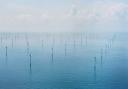 Nearly half the UK\'s offshore turbines are off the east of England coast