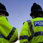 A sheep has been killed in a dog attack in north Norfolk