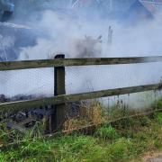 A shed and workshop have been destroyed in a blaze