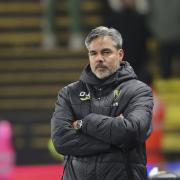 The pressure is increasingly on Norwich City head coach David Wagner