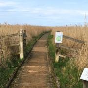 The boardwalk at Cley will be closed next week
