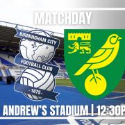 Norwich City face Birmingham this afternoon