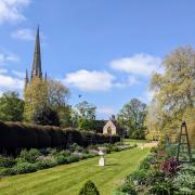 The summer season of open afternoons is beginning at the Bishop of Norwich's garden