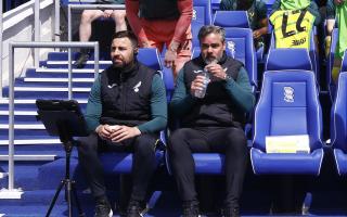David Wagner will approach Norwich City's play-off campaign with calmness.