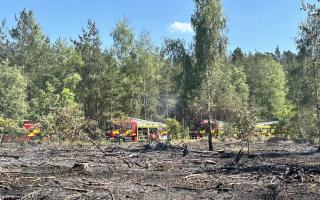 Firefighters tackled a huge blaze at Brandon Country Park