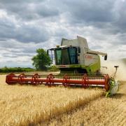 Arable farmers' incomes are predicted to fall for harvest 2024, warned agents at Strutt & Parker