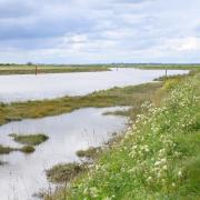A section of the River Bure, known as the Bure Hump, is under investigation by the EA