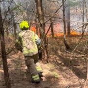 A fire broke out in Thetford Forest