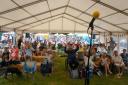 Bury Folk Festival is returning to Nowton Park in June