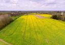 Property agency Savills says more farmland is coming onto the market in East Anglia - including this 45-acre plot of arable land and grassland at North Tuddenham, near Dereham