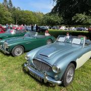 There will be hundreds of classic cars in Stody Lodge Gardens Picture: Stody Lodge Gardens