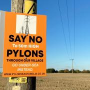 Campaigners have expressed their frustration over a controversial line of pylons through the Norfolk countryside