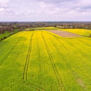Property agency Savills says more farmland is coming onto the market in East Anglia - including this 45-acre plot of arable land and grassland at North Tuddenham, near Dereham