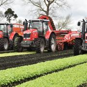 Farmers in the Fens have called for more government support to help them tackle climate change