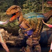 Join Rangers in their mission at Marina Theatre's Dinosaur Adventure Live