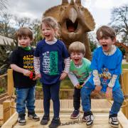 Norfolk attraction adds new 33ft tall moving dinosaur