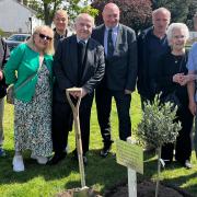 A commemorative olive tree has been ripped from a Great Yarmouth park