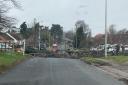 The tree has blocked a road in Mildenhall, west Suffolk