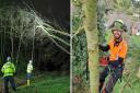 Storm Eunice is likely to cause damage to trees when it reaches Norfolk on Friday with tree surgeons advising people to 