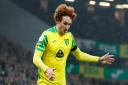 Josh Sargent misses Norwich City's clash with Palace due to illness