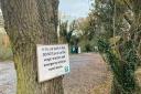 Signs have been placed around Salhouse asking people not to park on the verges