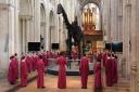 The Norwich Cathedral choristers celebrate the arrival of Dippy the Dinosaur in the nave before the exhibition is opened to the public. Picture: DENISE BRADLEY