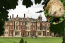 An electric fence at Sandringham was taken down after concerns were raised over the danger it could post to hedgehogs