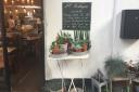 The exciting assortment of houseplants found outside the Warings Lifestore cafe. Picture: Michael Popp