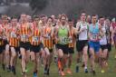 Competitors in the U20 men, senior men and masters men race in the Norfolk Cross Country Championships at Thetford. Picture: DENISE BRADLEY