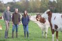 From left, farmer Jonny Crickmore, butcher Jeremy Thickitt and Dulcie Crickmore with the Fen Farm Montbeliarde herd.  Picture: PHIL MORLEY