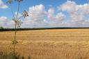 One reader thinks the garden town, which could be built on this site near North Elmham, is a 