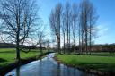 The River Wensum at Bintree Mill, close to where the new garden town would be built. Picture:  Kristine Macnab-Grieve.