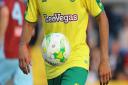 New Sponsor for Norwich City during the Pre-season Friendly match at St Colman's Park, CobhPicture by Lorraine O'Sullivan/Focus Images Ltd +353 87234158405/07/2017