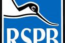 The way we receive information about organisations such as the RSPB is changing.