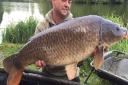 Ricky Barnes with a 31lb common taken from Swangey Lakes. Picture: Swangey Lakes