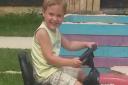 Dexter Neal, three, who died after a dog attack in Halstead.