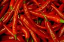 Chillies are being used to cure pain at Cromer Hospital.