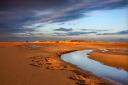 Holkham has been included in a list of the best in the UK (Image: Bob Frewin)