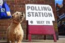 Toby the Norfolk Terrier outside the polling station at Cromer Community Centre.Picture: ANTONY KELLY