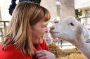 The Goats for Votes initiative at the UEA as students meet and pet goats to encourage higher numbers of student voter registration. Kazia Morrish, 20, up close to Gucci the goat. Picture: DENISE BRADLEY