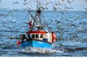 A fishing boat returning to port at Great Yarmouth after a day out on the North Sea. Photo: Chris Radburn/PA Wire