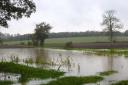 Persistent rain has been falling across Norfolk today