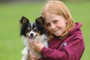 Seven-year-old Demi Wright of Agility Ability, who has won the Starters Agility Challenge combined 1 and 2 with Pipsqueak, her two-year-old papillon chihuahua cross. Picture: Denise Bradley
