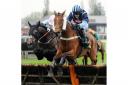 Action from the third race at Fakenham on Easter Monday with Vico taking the lead. Picture: MATTHEW USHER.
